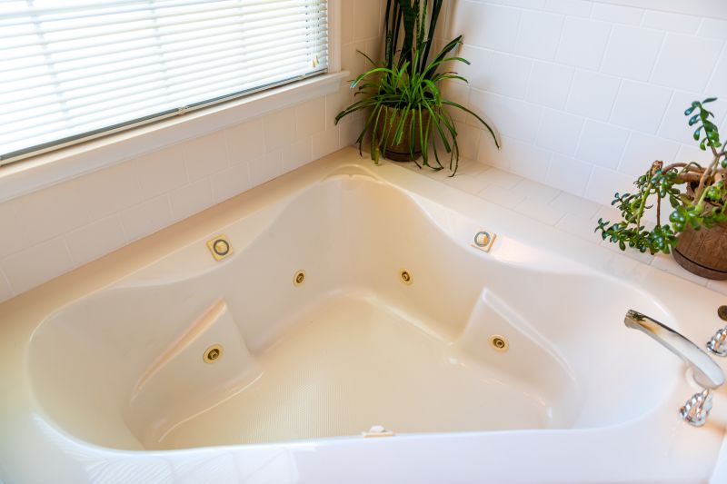 Luxurious Bathtub Installations